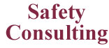 Safety Consulting